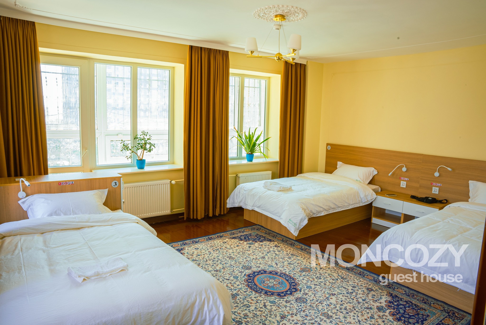 Фото аттракциона